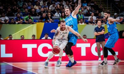 brazdeikis