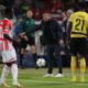 Crvena zvezda liga šampiona 6
