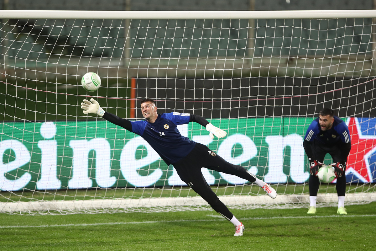 Fiorentina Čukarički
