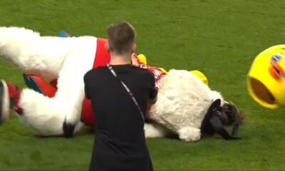 Maskota Rena napala simbol Nanta