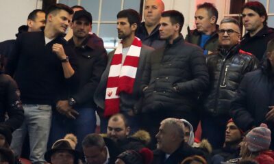 Novak, Marko, Srđan, Đorđe Đoković - stadion Rajko Mitić (Marakana)