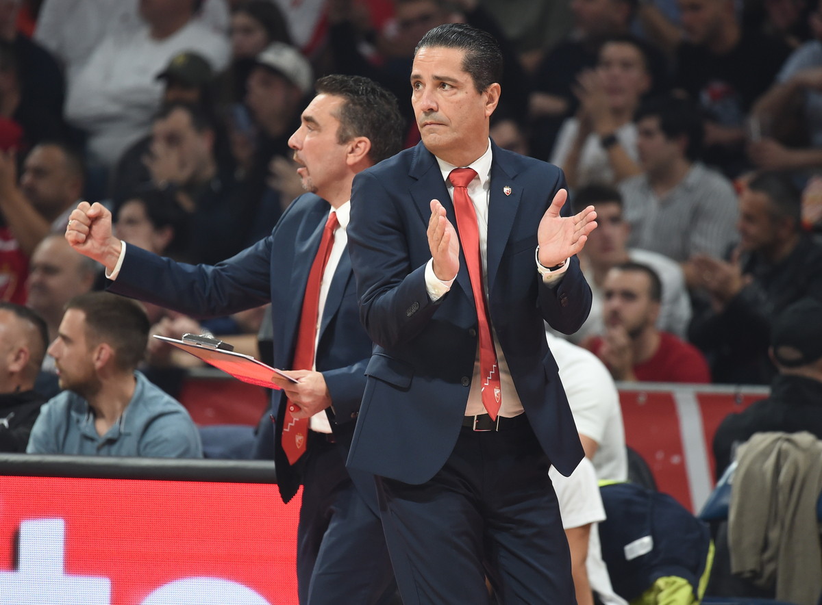 IOANNIS SFAIROPOULOS Joanis Sferopulos, trener kosarkasa Crvene zvezde, na utakmici Evrolige protiv Fenerbahcea, u Beogradskoj Stark areni. Beograd, 14.11.2023. Foto: Nebojsa Parausic / MN Press Kosarka, Euroleague, Crvena zvezda, Fenerbahce