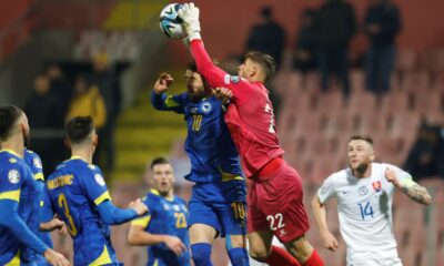 Bosna i Hercegovina