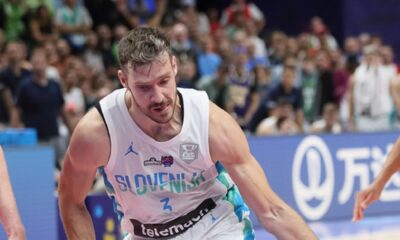 goran dragic
