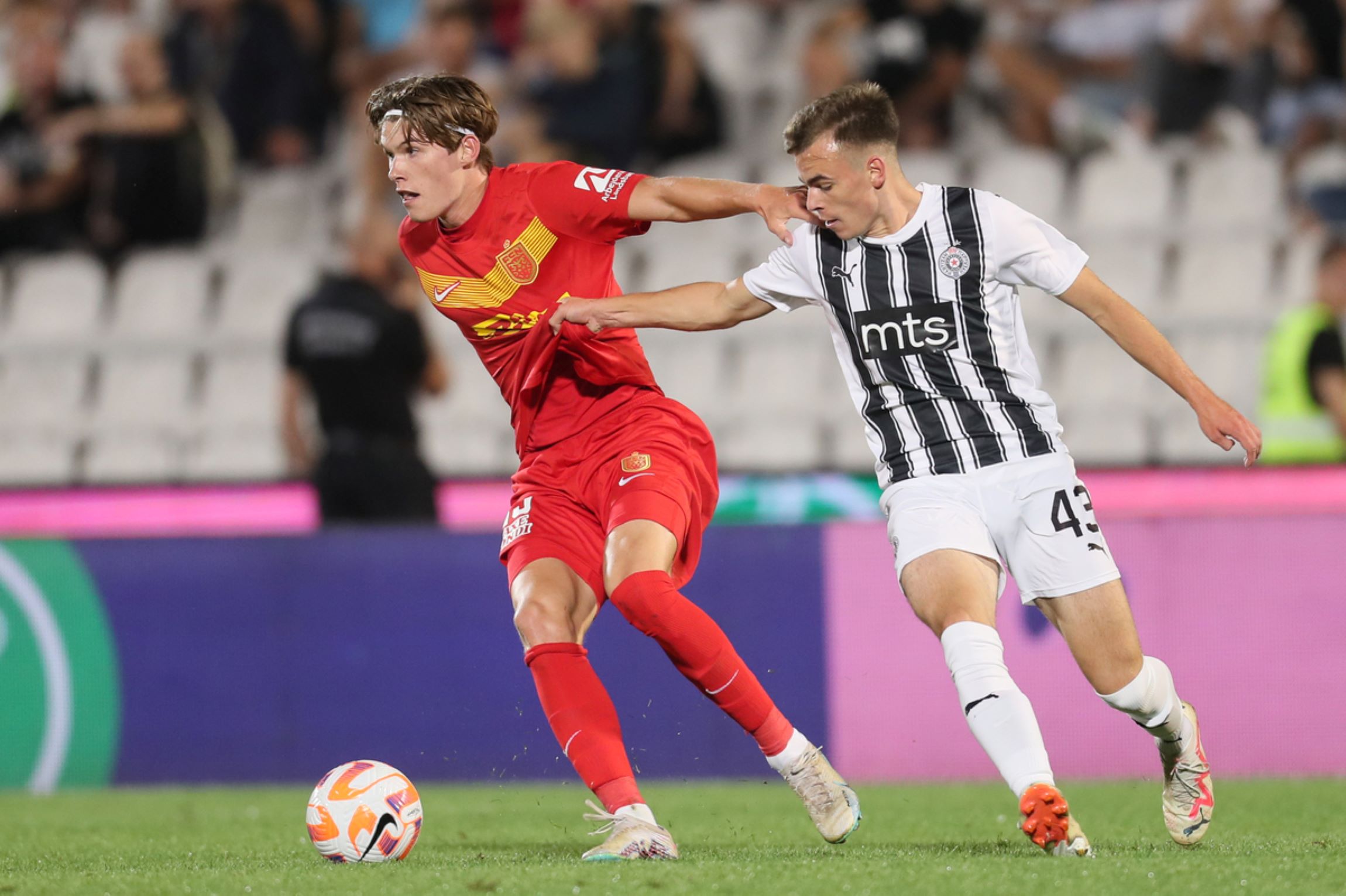 Partizanu Danci