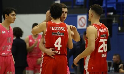Nikola Topić, Miloš Teodosić, Nemanja Nedović