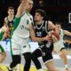 PArtizan Krka