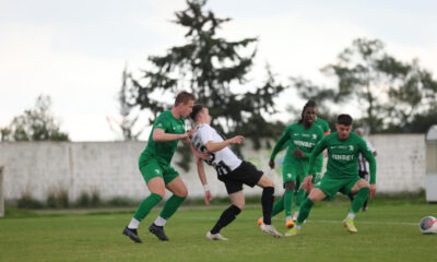 Partizan Botev