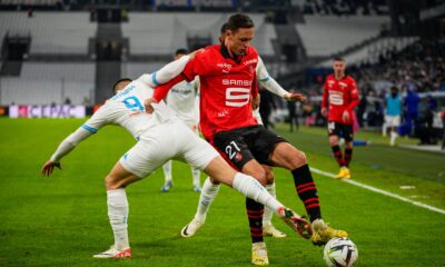 Matić Lion