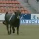 Bik Maradona maskota Ciriha