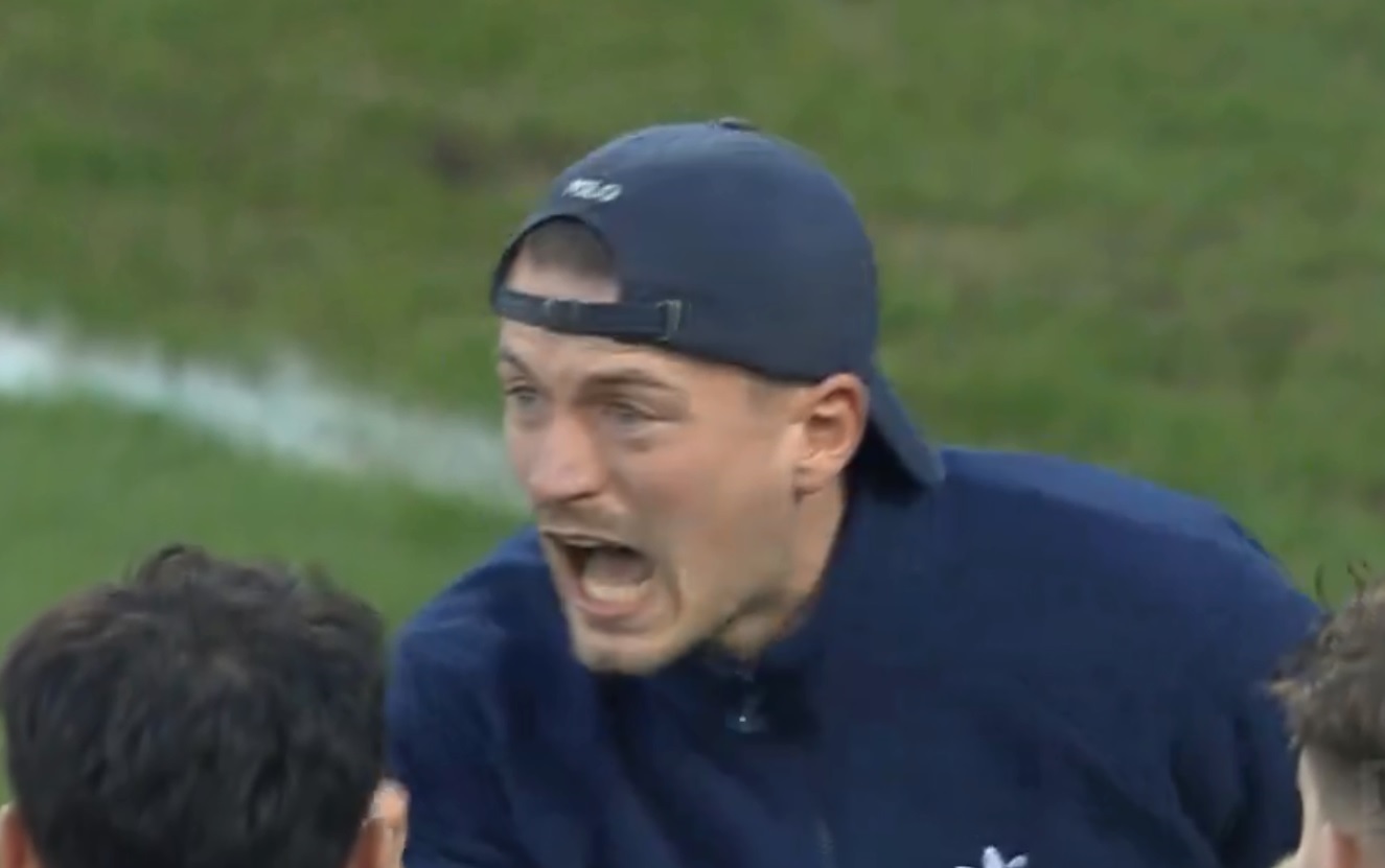 navijac urlao