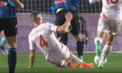 nikola milenkovic