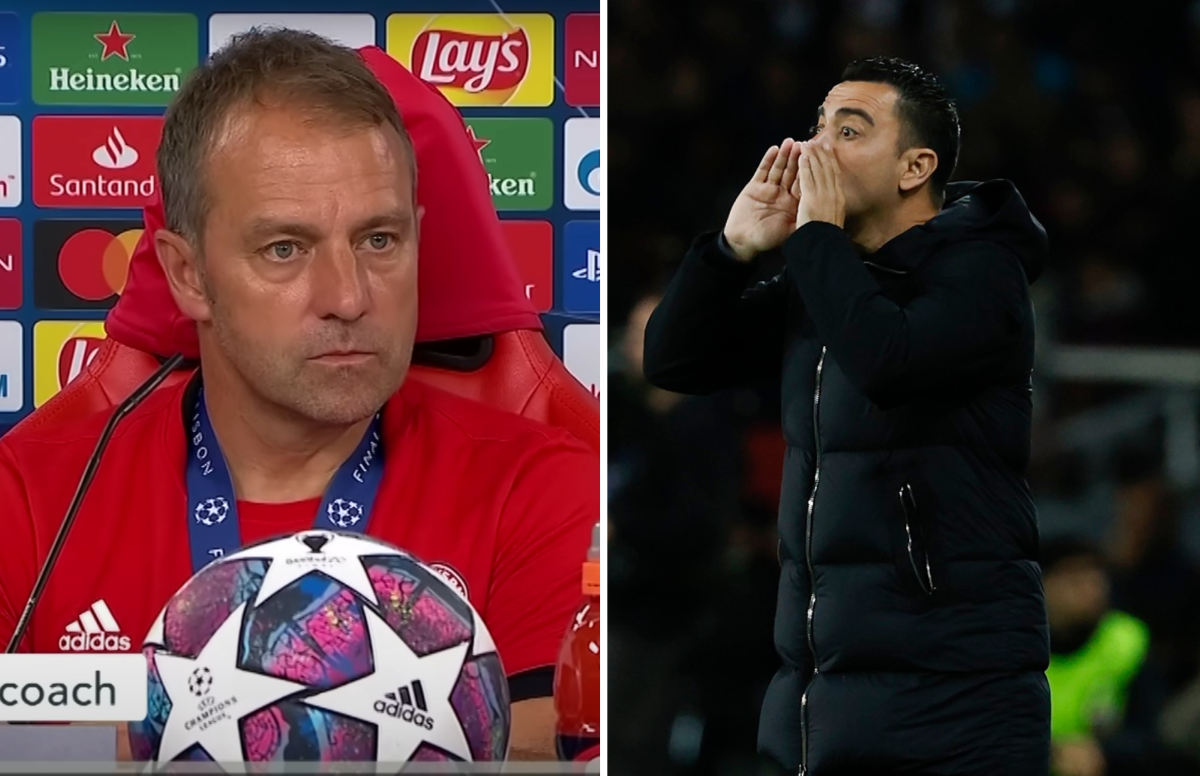 Ćavi i Hansi Flik