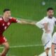 mitrovic penal