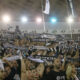 Navijači Partizana na prijateljskoj utakmici protiv AEK-a u hali 3 Beogradskog Sajma, Beograd 13.09.2024. godine Foto: Ivica Veselinov / MN PRESS KOSARKA, BASKETBALL, PARTIZAN, AEK