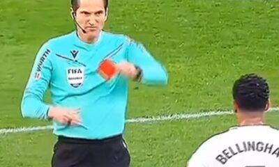hose luis munuera montero
