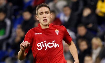 stefan scepovic