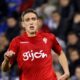 stefan scepovic