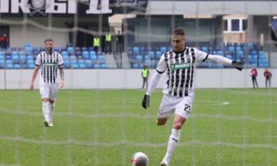 nemanja nikolic partizan