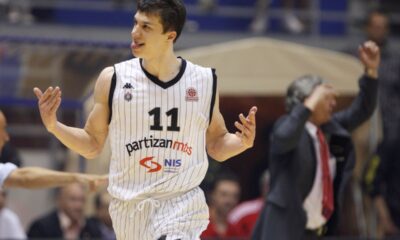 Vladimir Lučić, Partizan