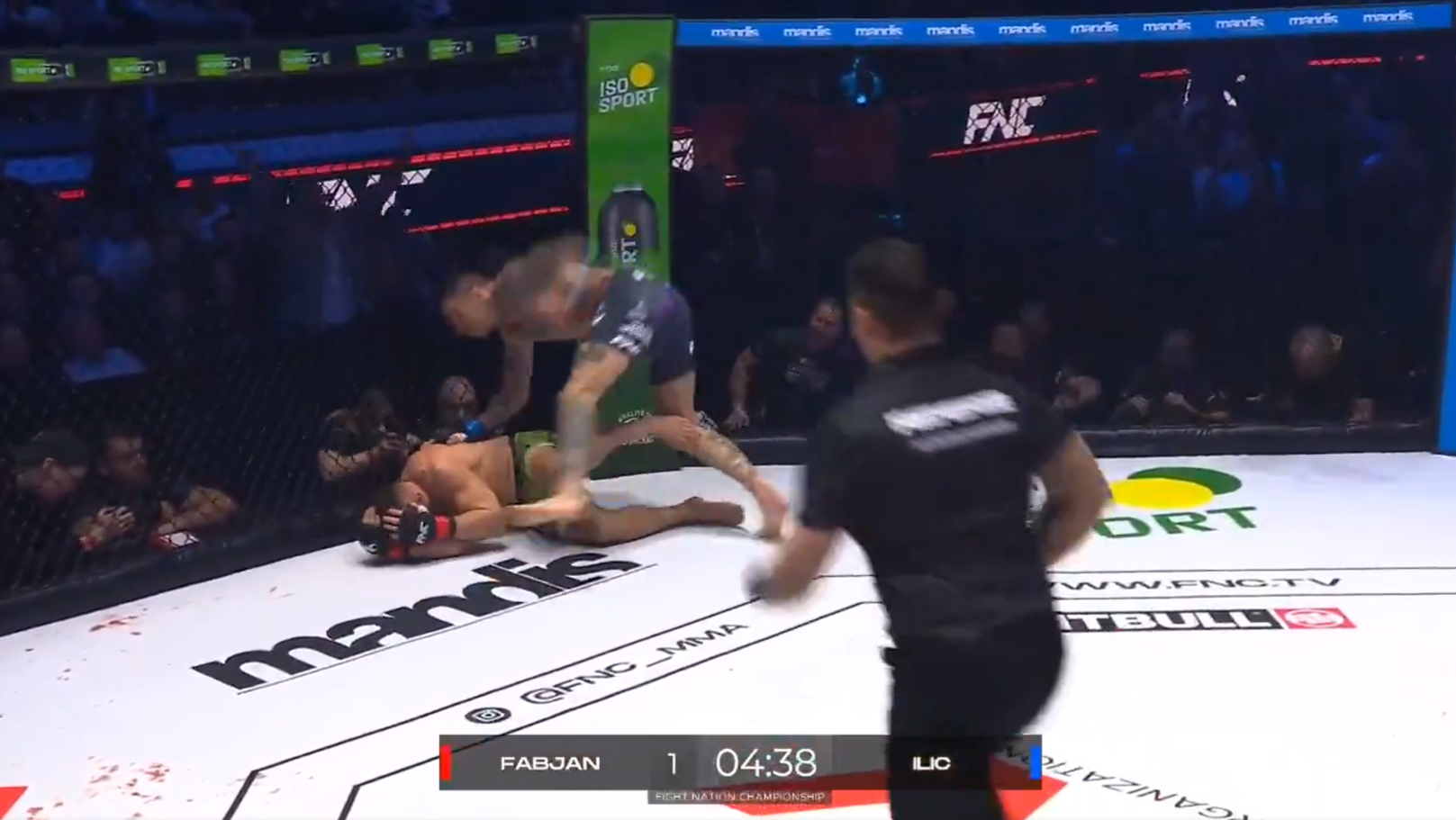 Aleksandar Džoker Ilić